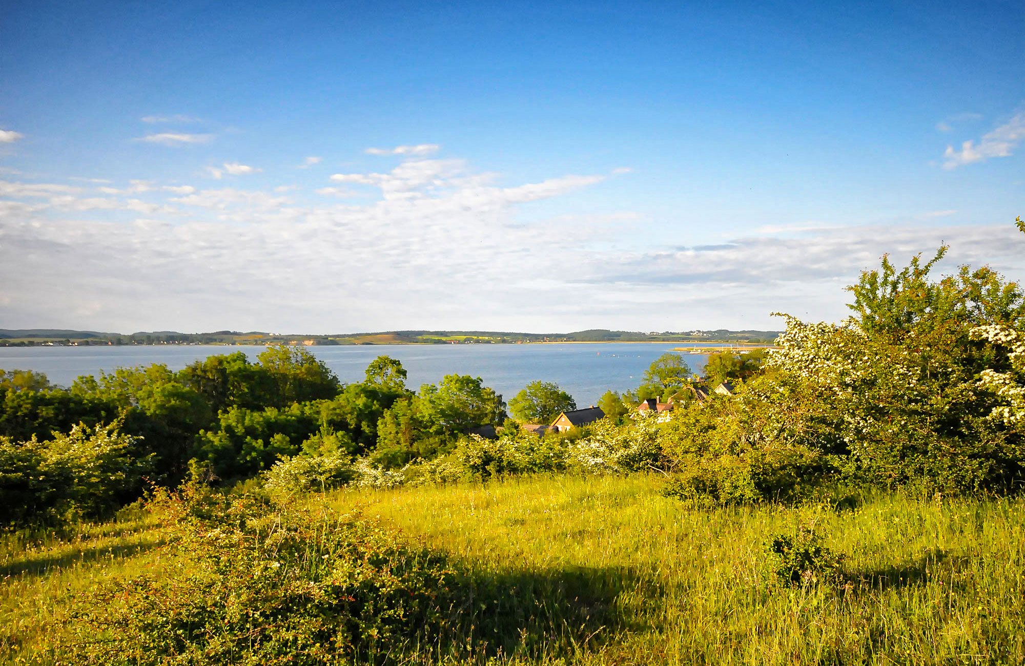 Kreidekueste Insel Rügen