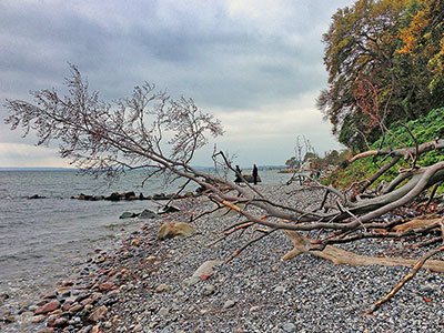 Insel Rügen Sehenswürdigkeiten